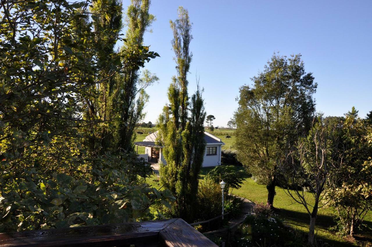 Tsitsikamma Gardens Cottages Self-catering Cottages Sanddrif Esterno foto